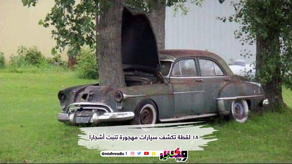 18 لقطة تكشف سيارات مهجورة تنبت أشجاراً