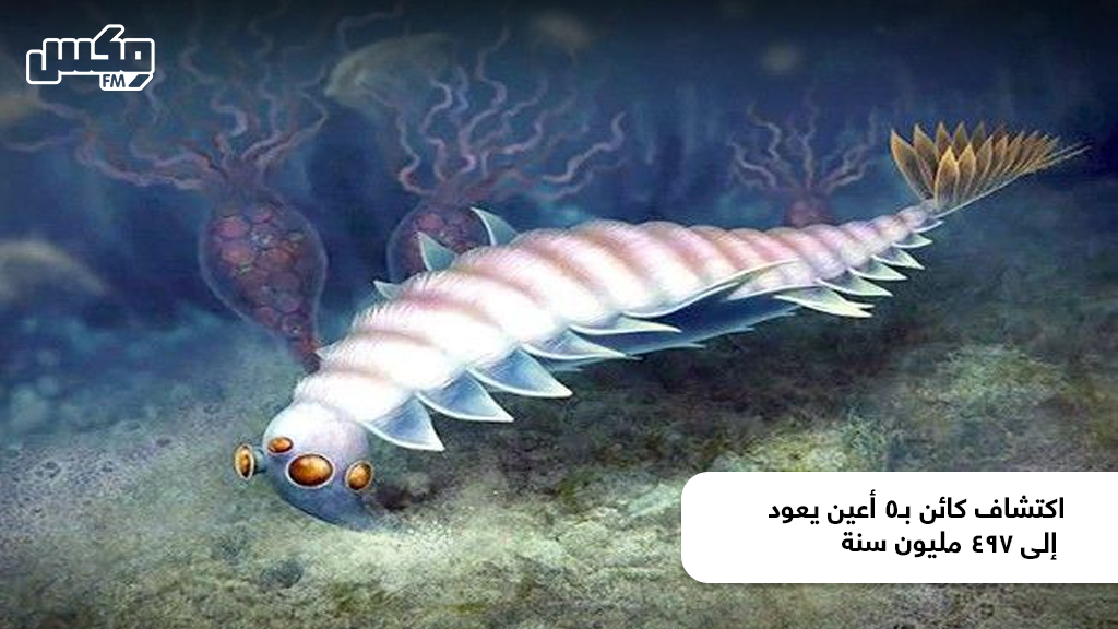اكتشاف كائن بـ5 أعين يعود إلى 497 مليون سنة