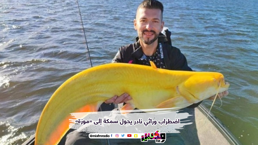 اضطراب وراثي نادر يحول سمكة إلى «موزة»