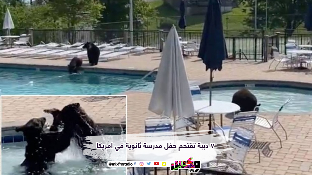 7 دببة تقتحم حفل مدرسة ثانوية في امريكا