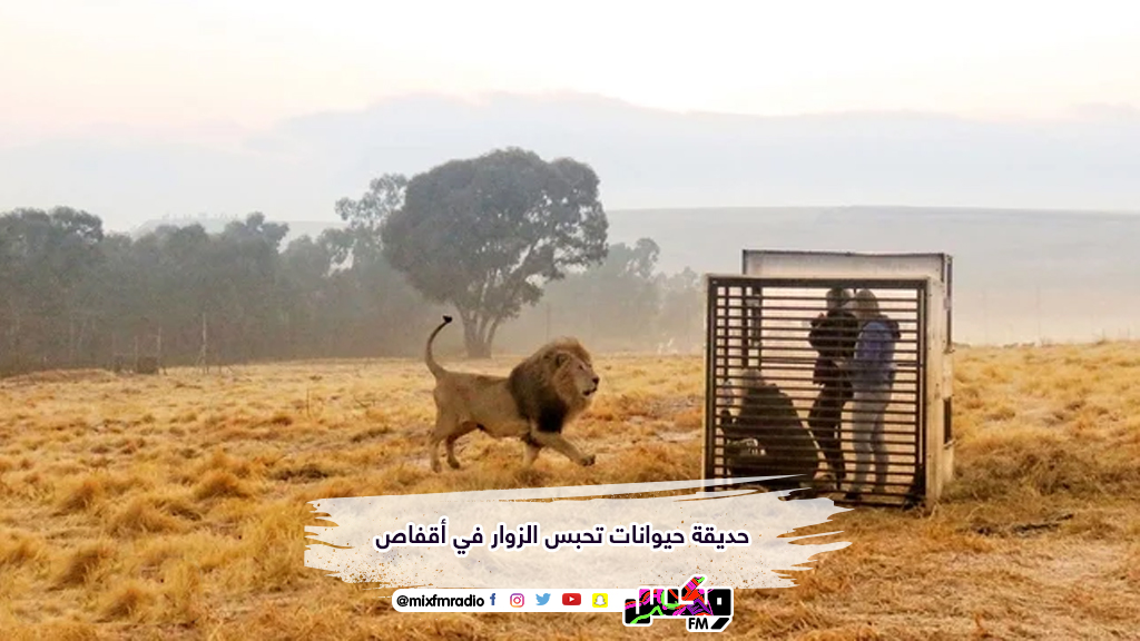 حديقة حيوانات تحبس الزوار في أقفاص