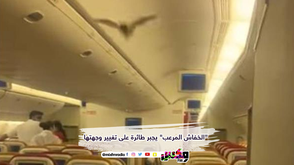 الخفاش المرعب" يجبر طائرة على تغيير وجهتها
