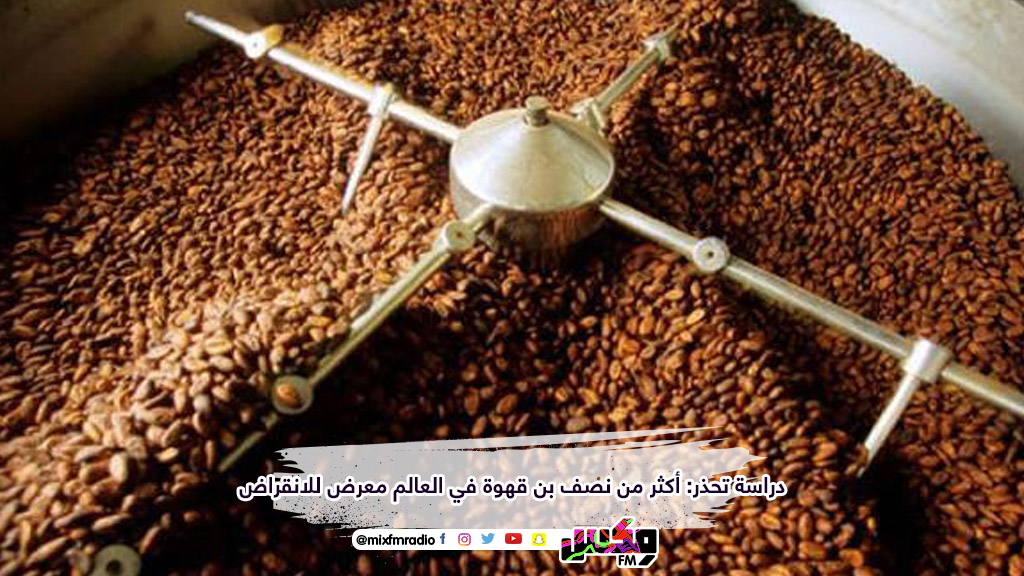 دراسة تحذر: أكثر من نصف بن قهوة في العالم معرض للانقراض