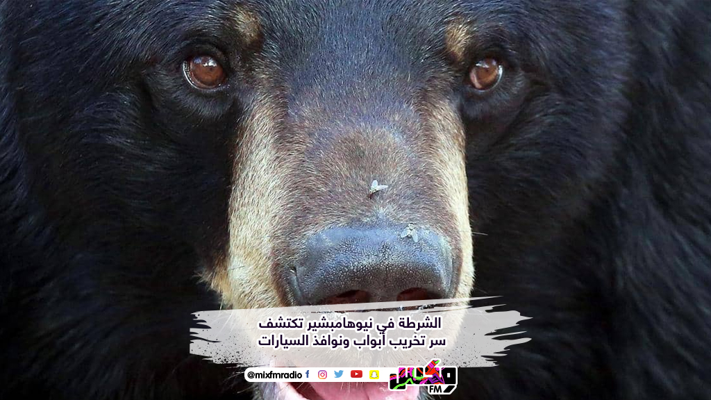 الشرطة في نيوهامبشير تكتشف سر تخريب أبواب ونوافذ السيارات