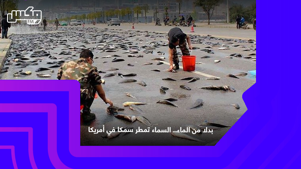 السماء تمطر سمكاً في أمريكا!