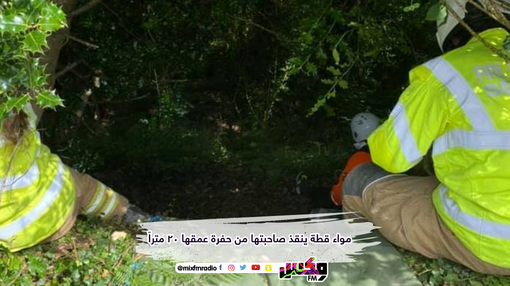 مواء قطة ينقذ صاحبتها من حفرة عمقها 20 متراً